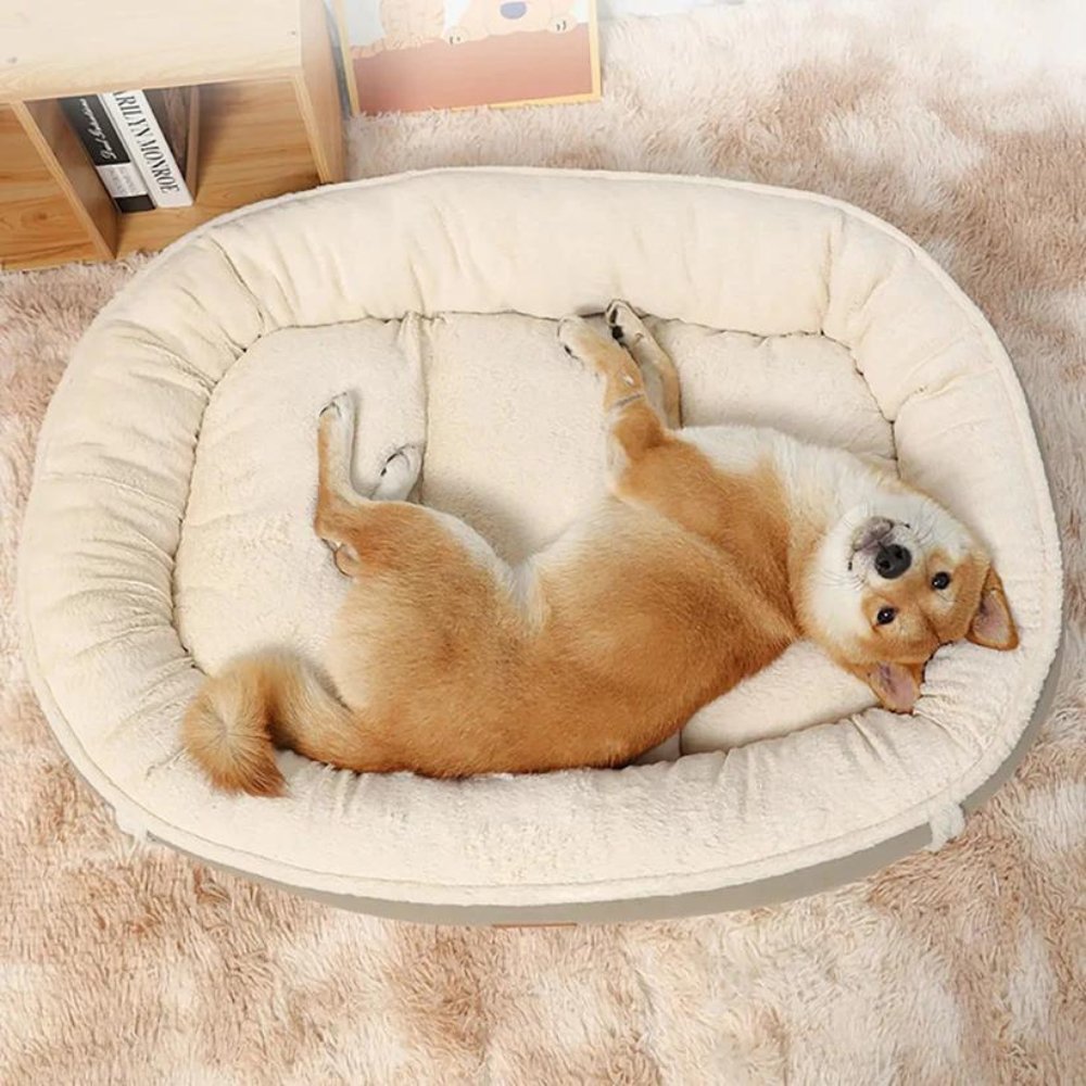 CozyRest • Dog Bed - Dog Bed - BowLift