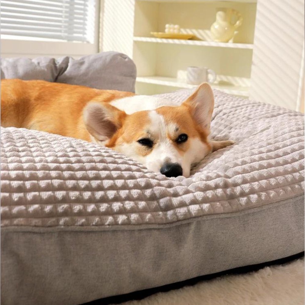 CozyWinter • Soft & Warm Dog Bed - Dog Bed - BowLift