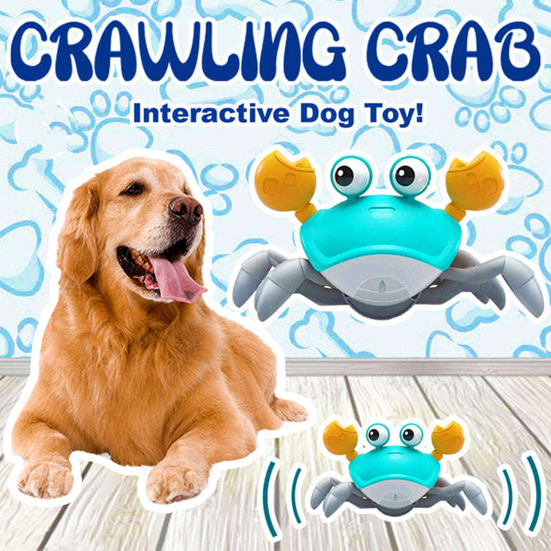 BowLift | Crawling Crab Toy 🦀