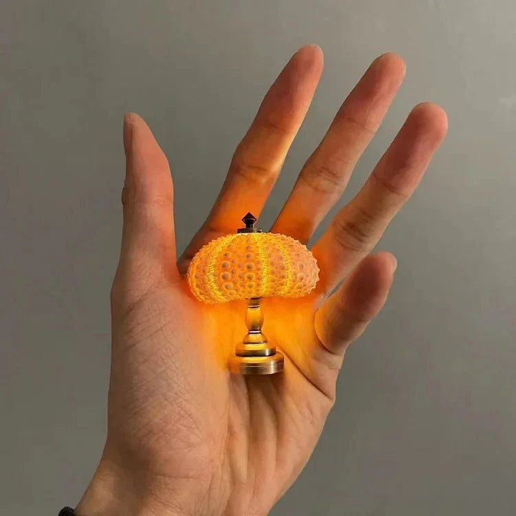 BowLift | Table Lamp Mini Sea Urchin Shell Light
