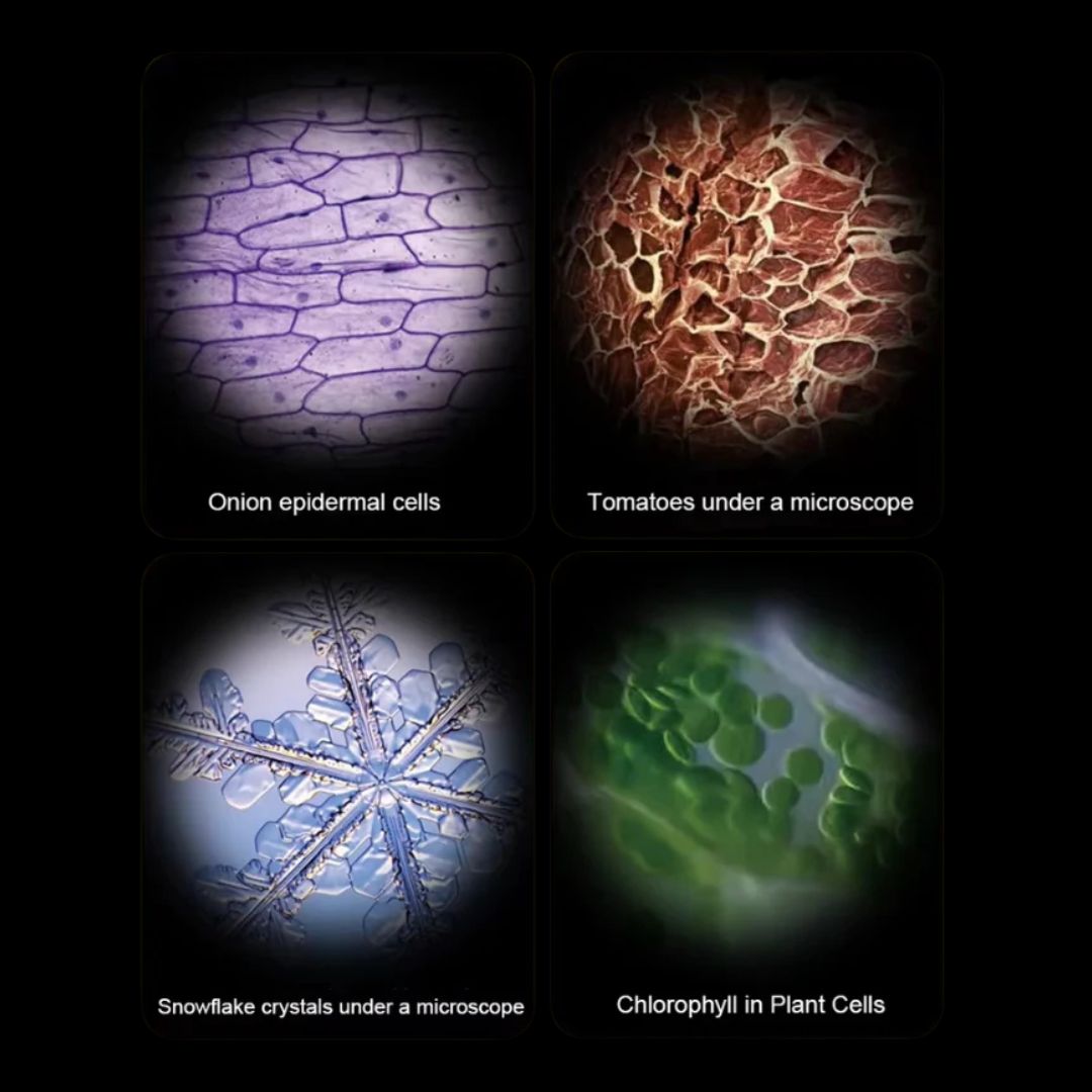 BowLift | CURIOUS MIND SCIENCE SCOPE – Montessori-Inspired Kids Microscope for Exploration & STEM Learning