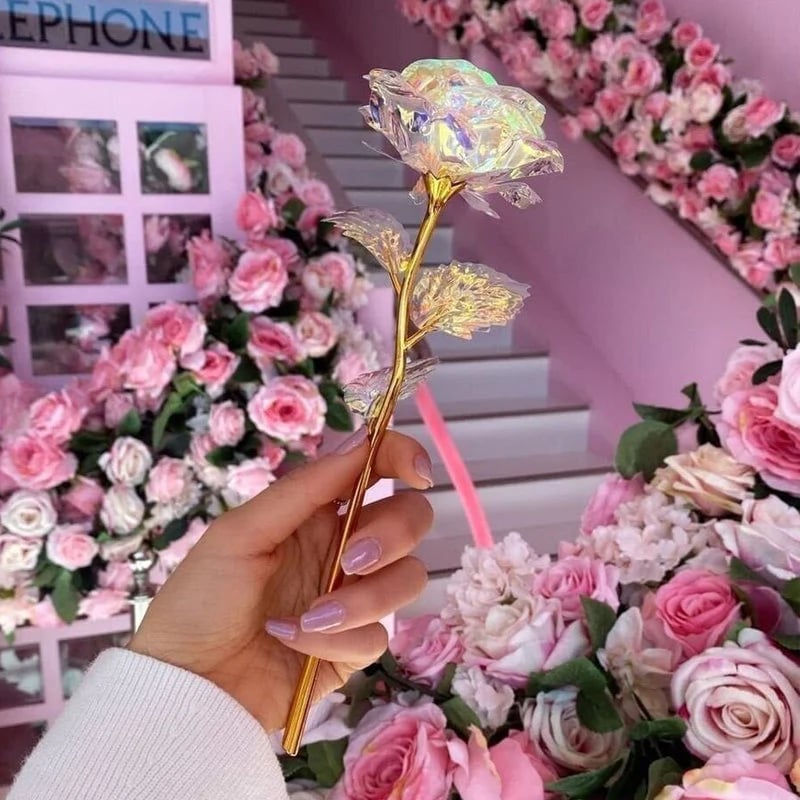 BowLift | For the Gift to Your Loved Ones - Colorful Glass Rose