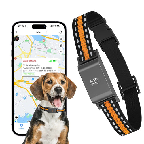 BowLift | GPS Dog and Cat Collar – Unlimited Range Real-Time Tracker