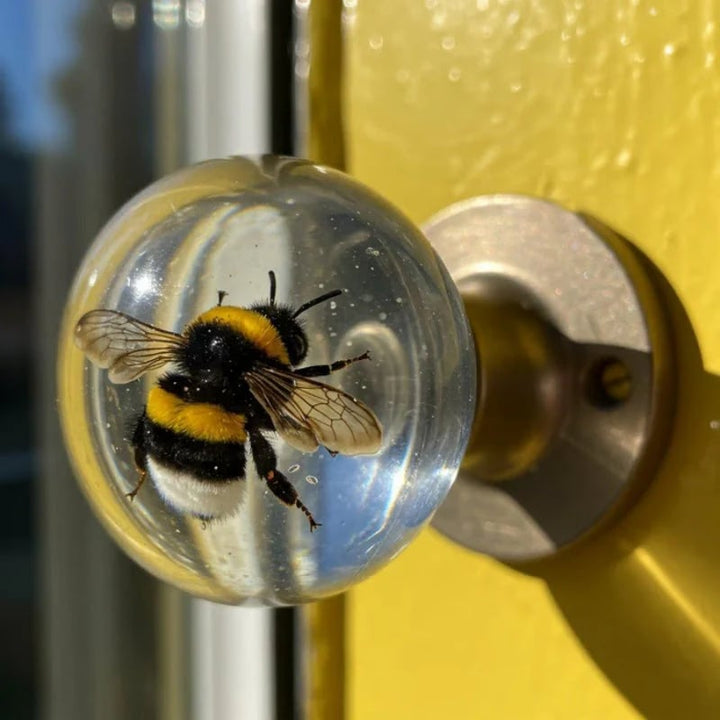 BowLift | GlowKnobs — Give your doors instant irresistible charm and personality