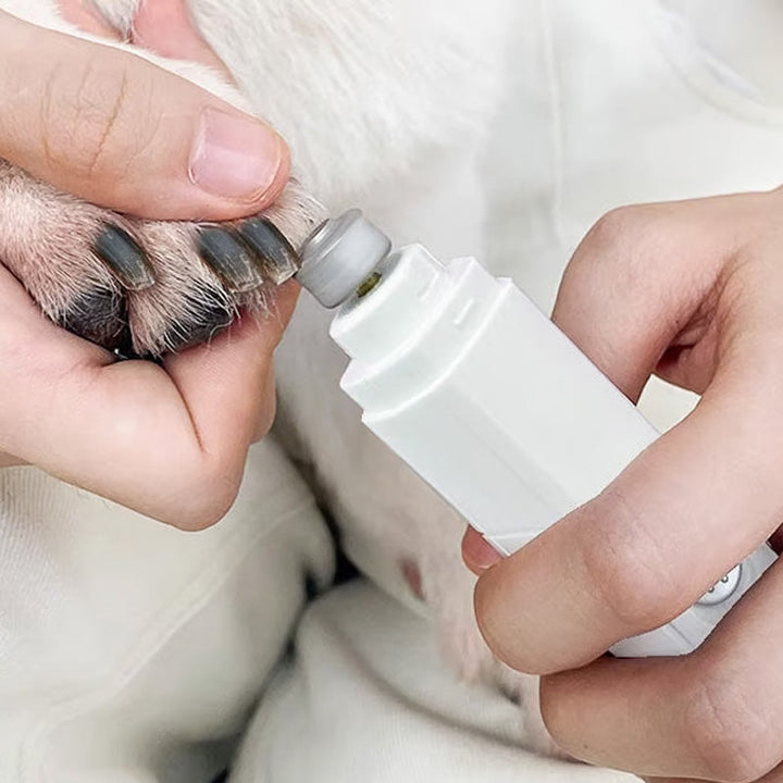 BowLift | PawZen – Quick, stress-free nail trimming for pets with a calming effect