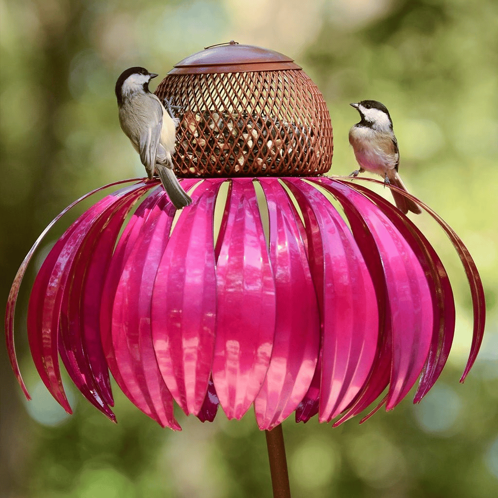 BowLift | FloraNest Bird Feeder | Enjoy free Coneflowers for a colorful garden