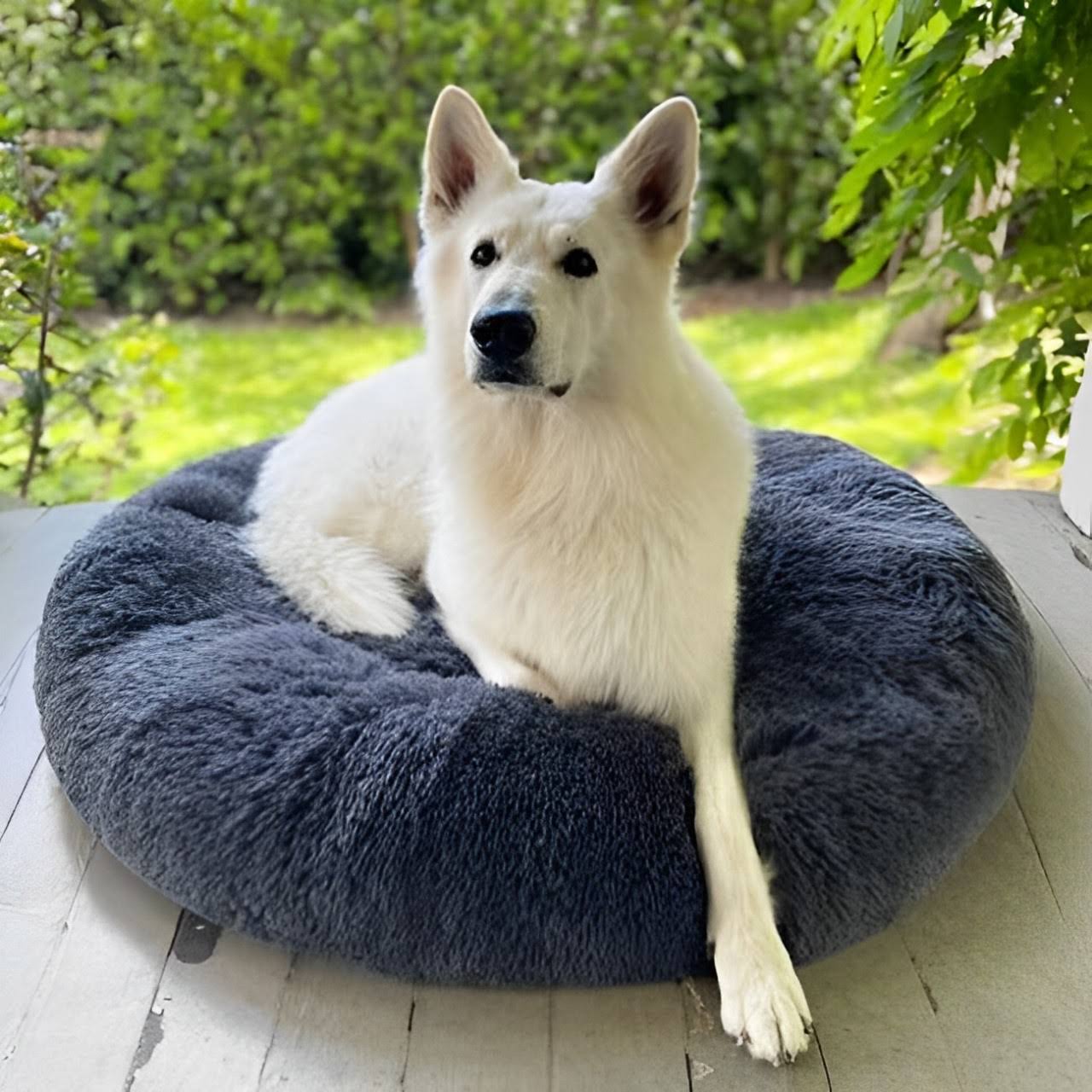 BowLift | Calming Dog Bed