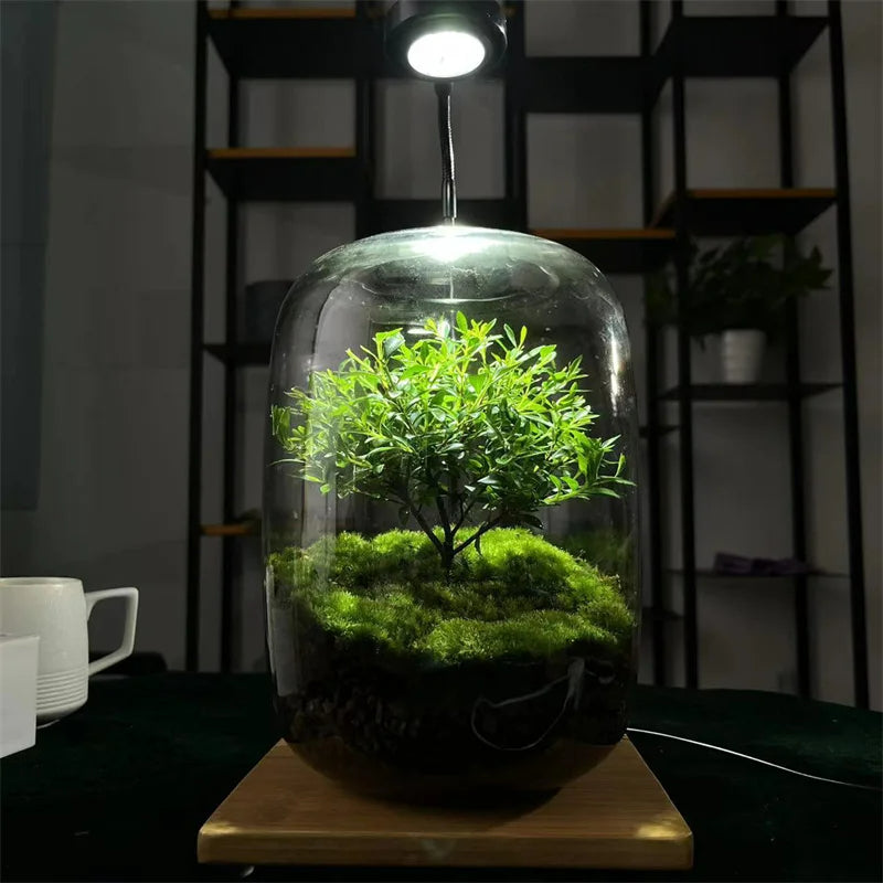 Micro Landscape Green Oasis Glass Vase | Bowlift