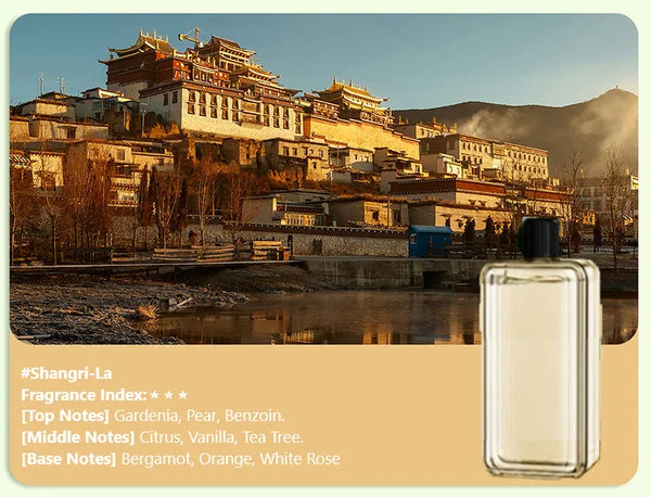 BowLift | Automatic Aromatherapy Diffuser