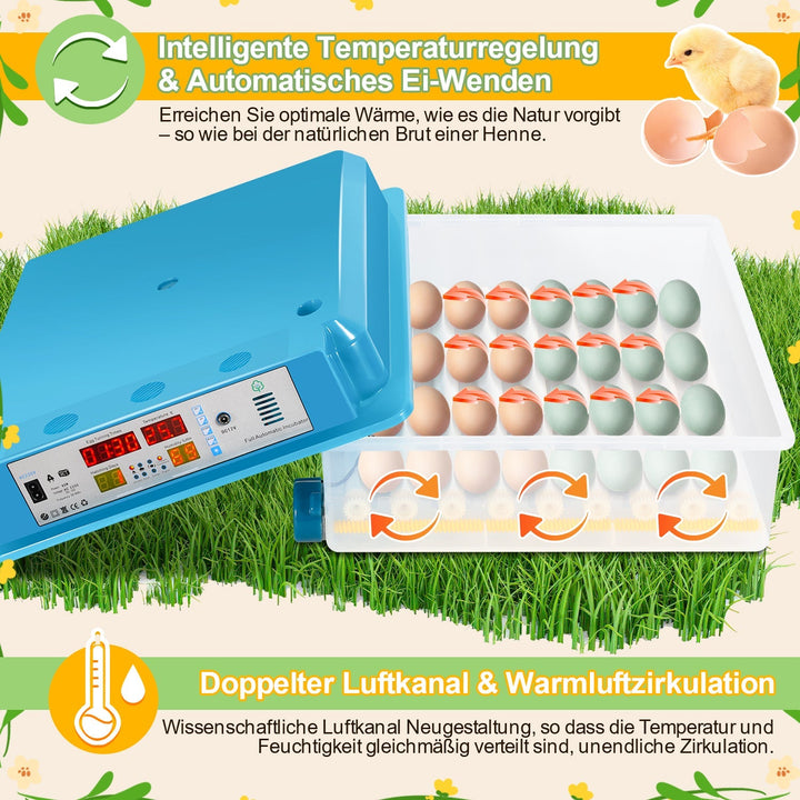 Brutautomat Fully Automatic Incubator for Chickens 64 Eggs | Bowlift