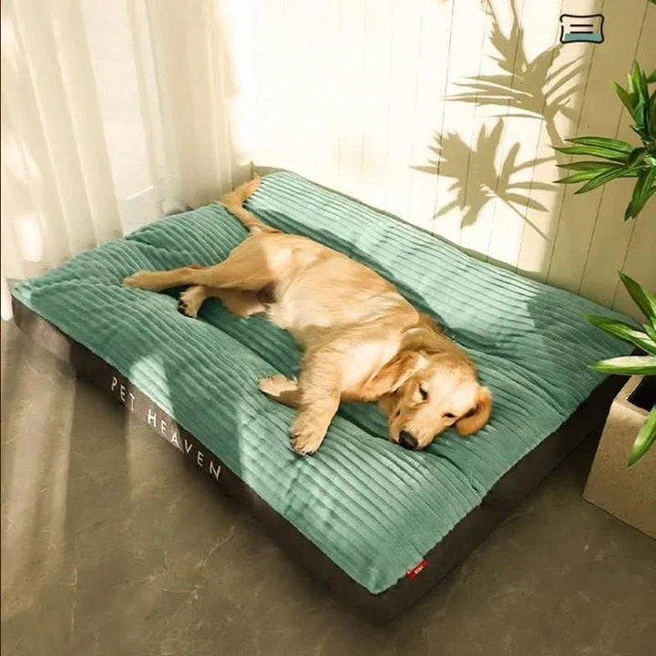 BowLift | Cozy & Supportive for Restful Nights
