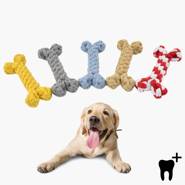 Dental Care Chew Bone for Dogs - CleanChew Bowlift