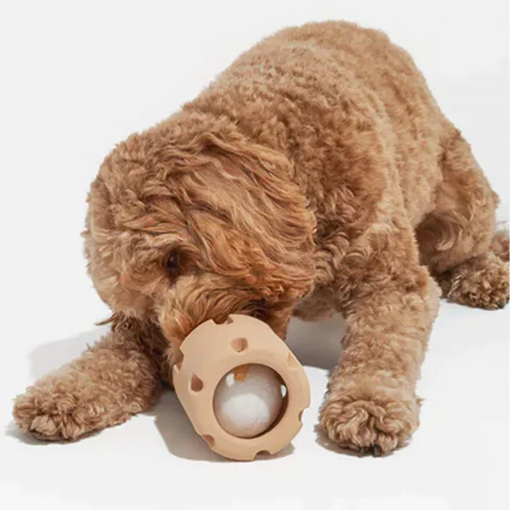 Dental Care Toys for Dogs - BounceChew Bowlift
