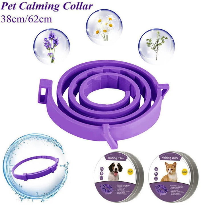 Pheromone Calming Collar for Dogs and Cats Bowlift