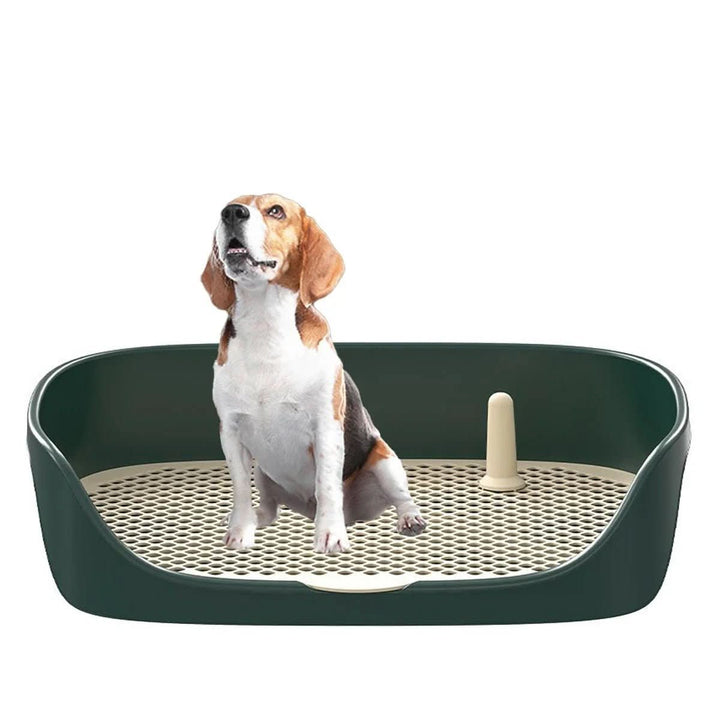 BowLift | VICTOR FORMATION – Toilet trainer for puppies with anti-splash edge