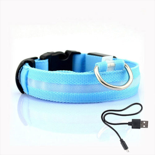 Dog collar with LED lighting - GlowCollar Bowlift