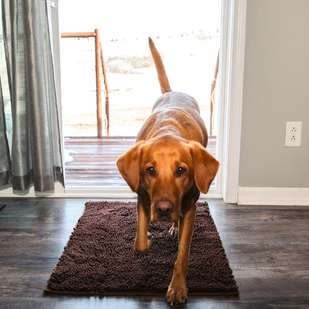 Dog Entrance Mat - Boris Bowlift
