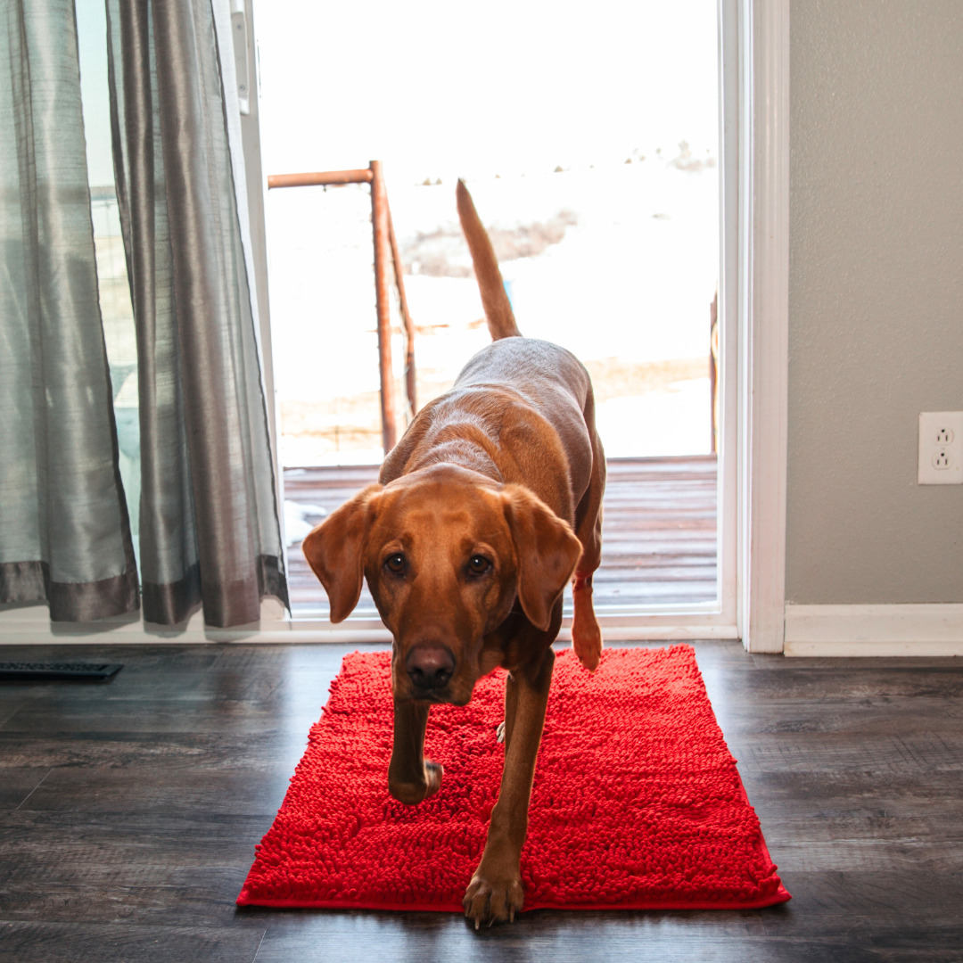 Dog Entrance Mat - Boris Bowlift