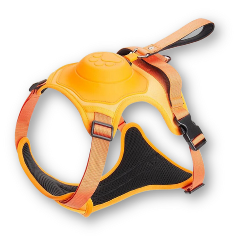 Dog Harness and Lead in One - FlexiLead Bowlift