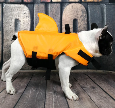 Dog Life Jacket - AquaPup Bowlift