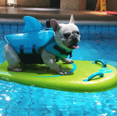 Dog Life Jacket - AquaPup Bowlift