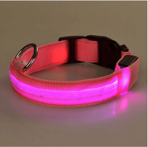 Dog collar with LED light | Bowlift