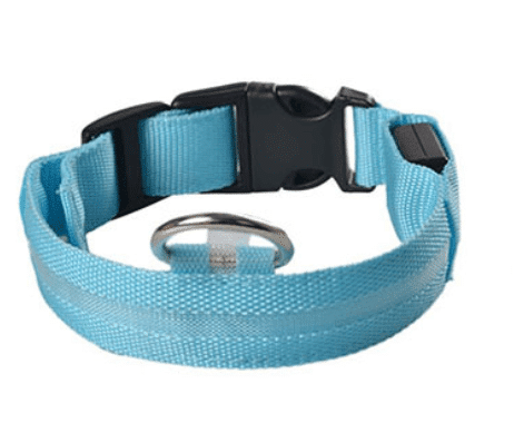 Dog collar with LED light | Bowlift