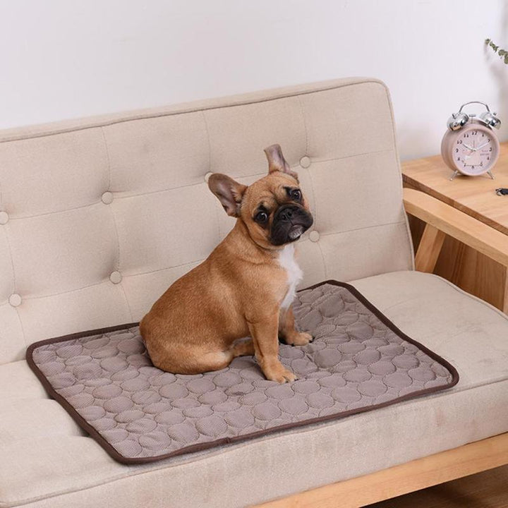 BowLift | DogCool – Self-Cooling Dog Mat for Hot Summer Days