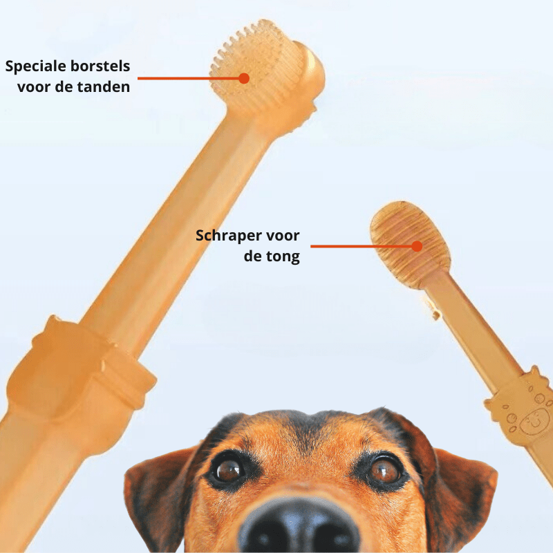 BowLift | DOGGYDENT – Soft Silicone Finger Toothbrush for Dogs & Cats