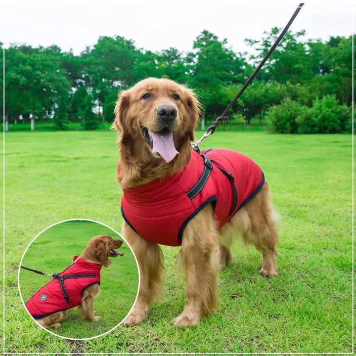 BowLift | Waterproof Dog Jacket for Winter with Reflective Built-In Harness