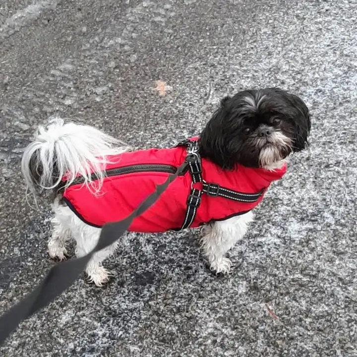 BowLift | Waterproof Dog Jacket for Winter with Reflective Built-In Harness