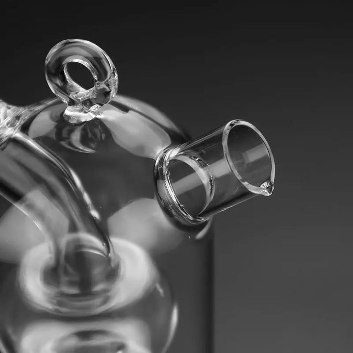 Double Glass Oiler Dual-purpose Glass Bottle Condiment Bottle | Bowlift