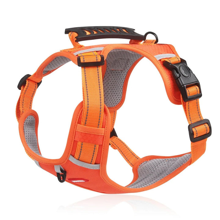 BowLift | PawEase Adjustable Anti-Stick Dog Harness – Washable and Comfortable