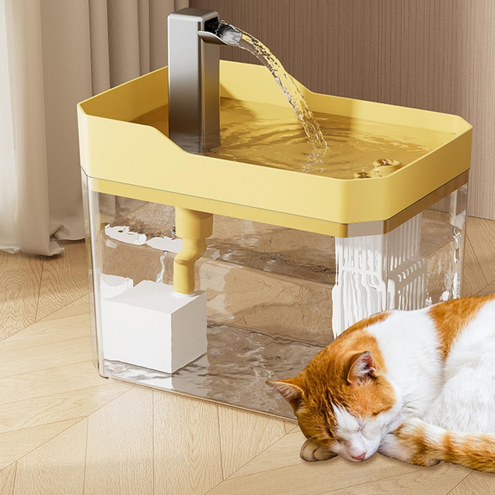 Automatic water dispenser for pets | Bowlift