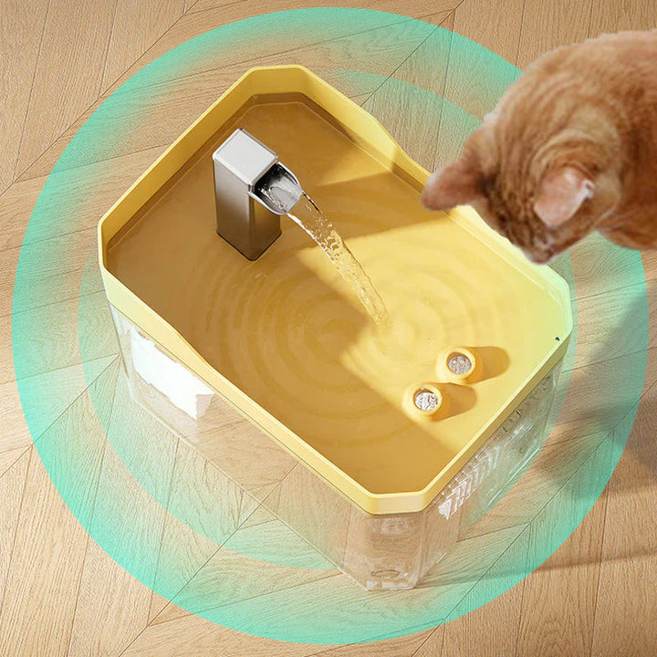 Automatic water dispenser for pets | Bowlift
