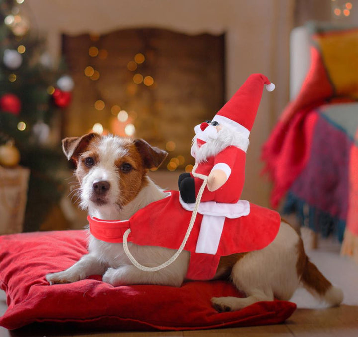 Dog Santa Claus Costume | Bowlift