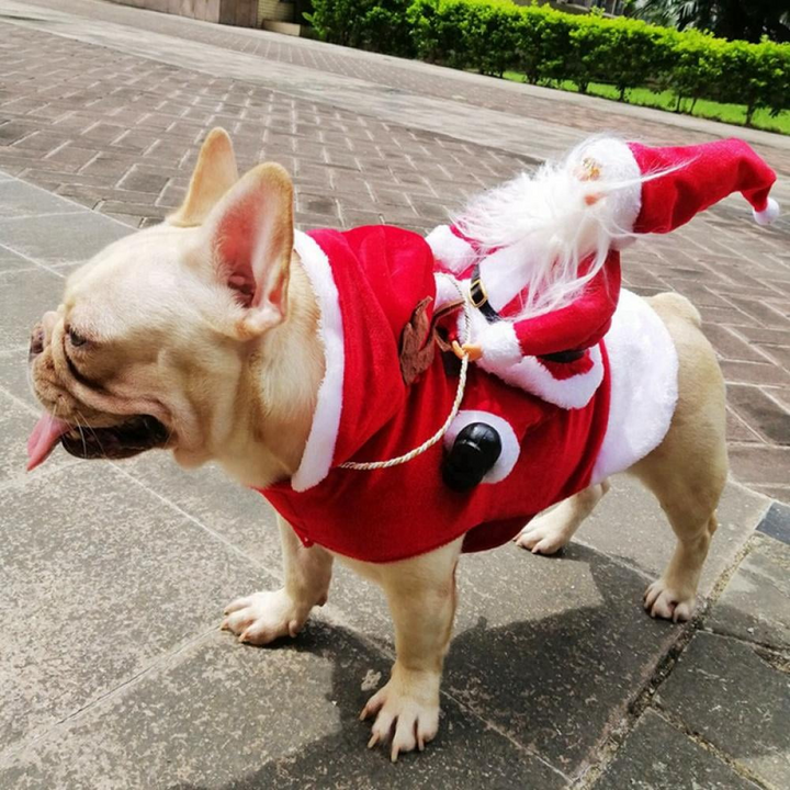 Dog Santa Claus Costume | Bowlift