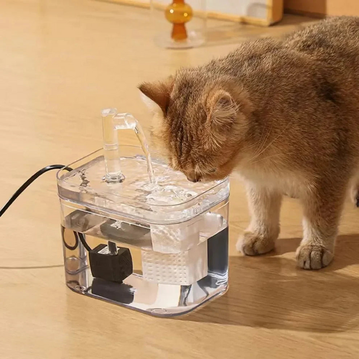 Automatic water fountain for pets | Clean, continuous water for your furry friend | Bowlift