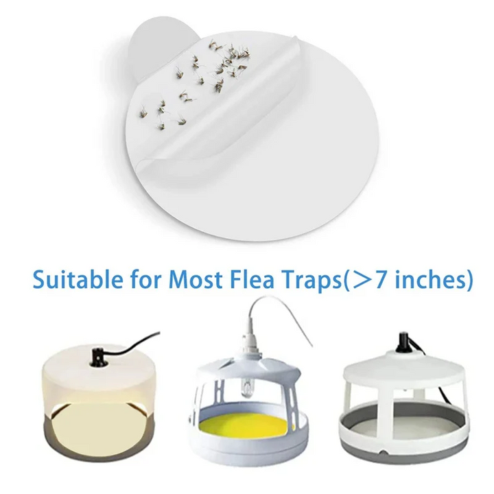 BowLift | Sticky Bed Bug Trap Refill Glue Boards