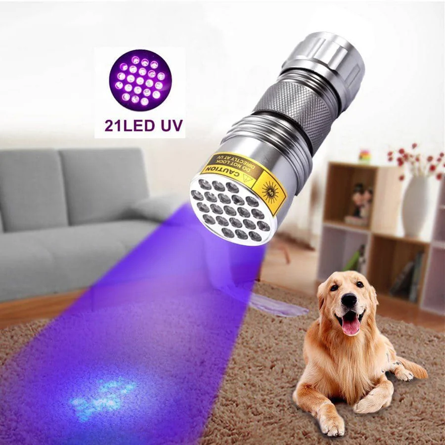 BowLift | Compact UV Blacklight Flashlight for Inspection and Cleaning Checks