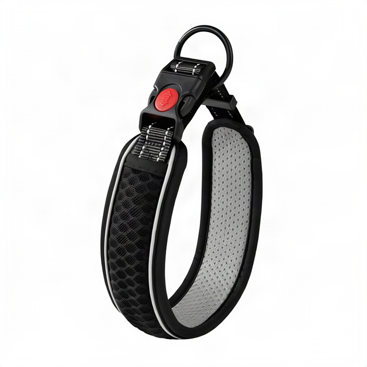 Dog collar made of polypropylene