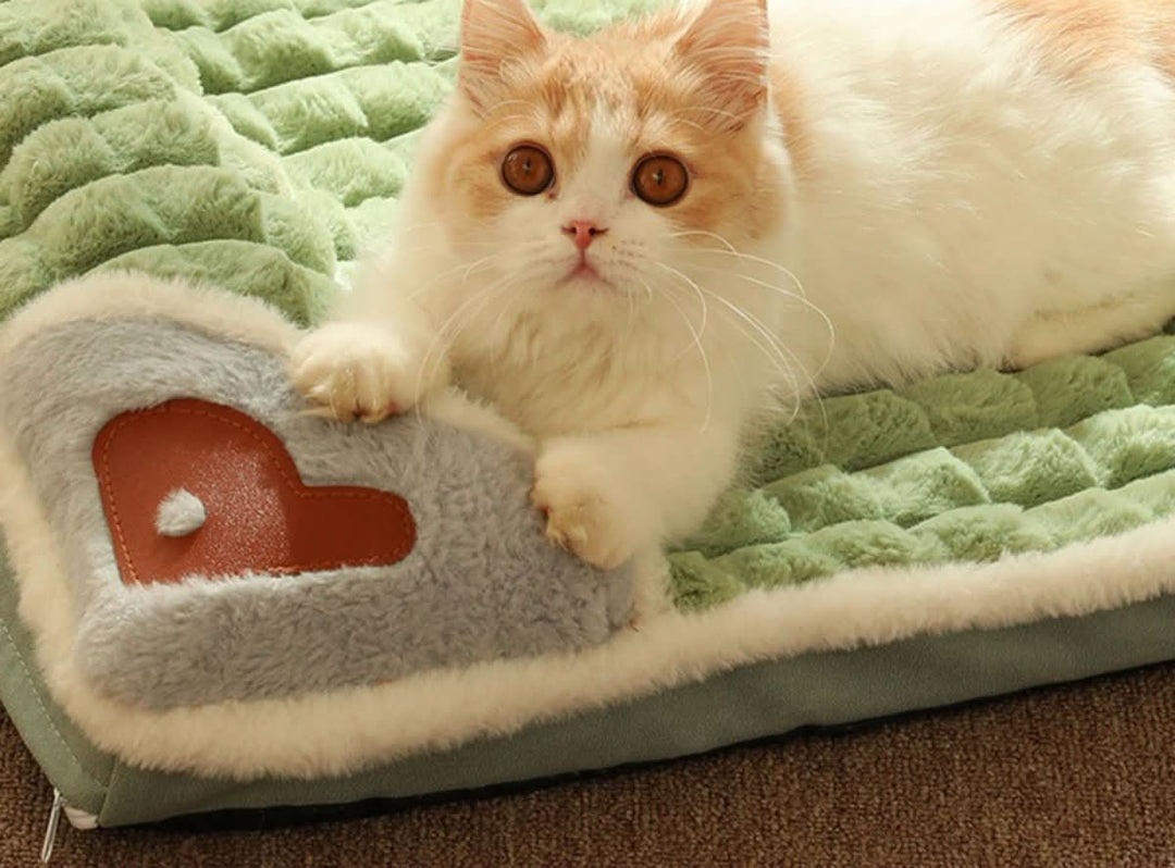 BowLift | Fluffy Premium Dog Bed for Small & Medium Dogs