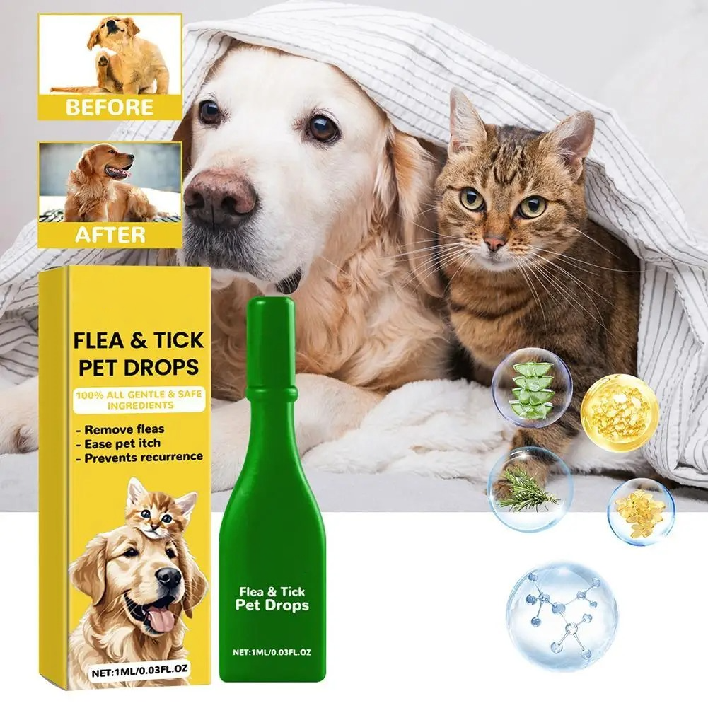 BowLift | Cat Flea Treatment At Home