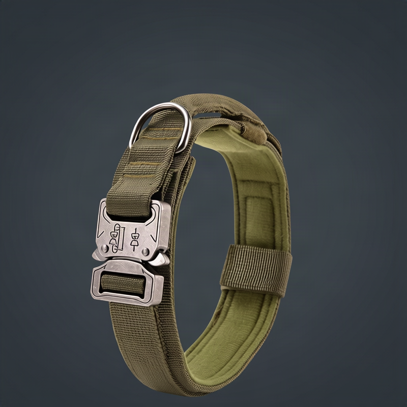 Nylon dog collar with handle