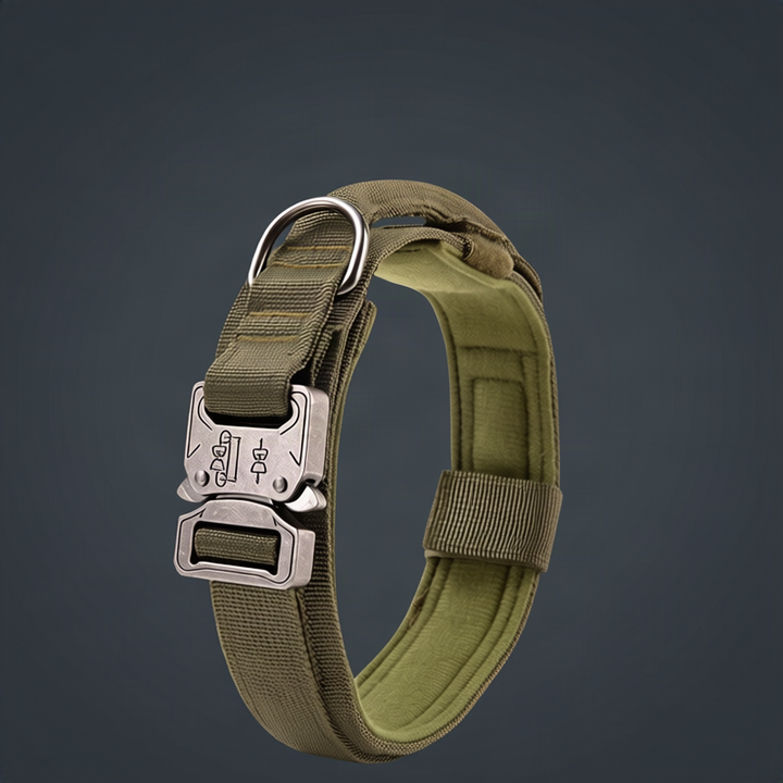 Nylon dog collar with handle