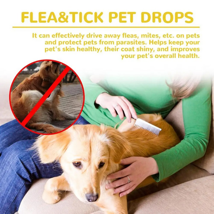 BowLift | Cat Flea Treatment At Home