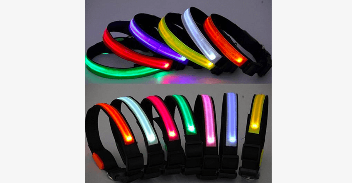 BowLift | LED Dog Collar – Keep an eye on your pet!