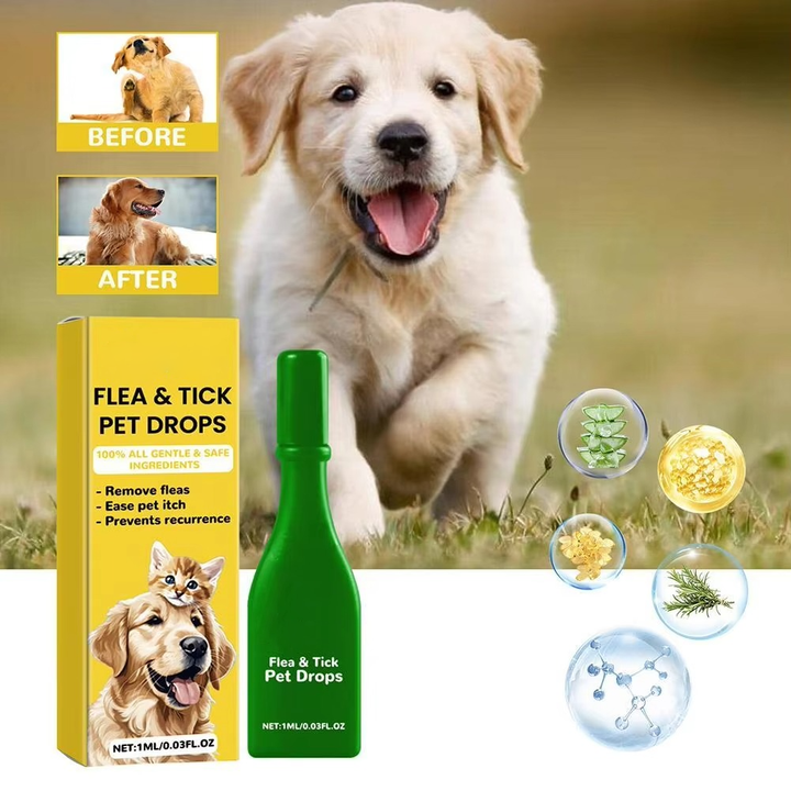 BowLift | Cat Flea Treatment At Home