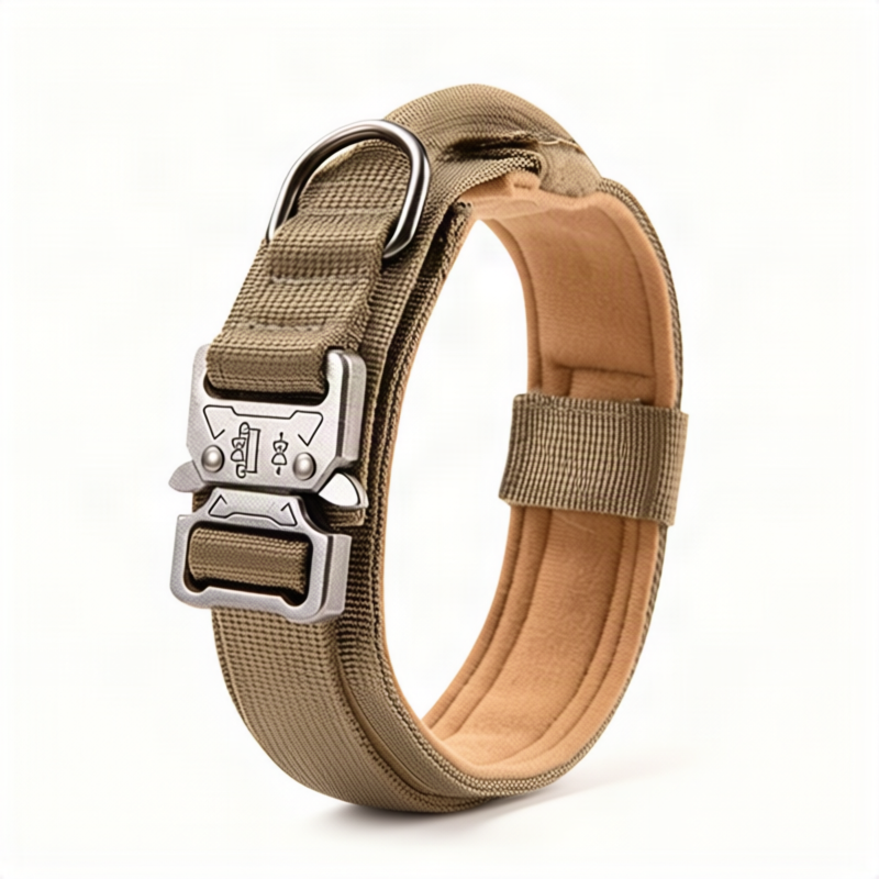 Nylon dog collar with handle