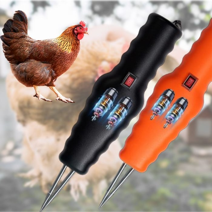 Electric Chicken Eater | Bowlift